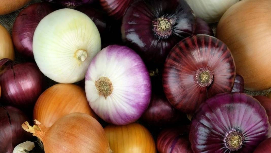 Bağışıklık Sistemini Güçlendirmek İsteyenler Dikkat! Topraktan Çıkıyor, Hastalıklara Karşı Savaş Açıyor 1